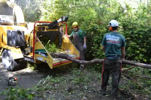 tree services New Albany